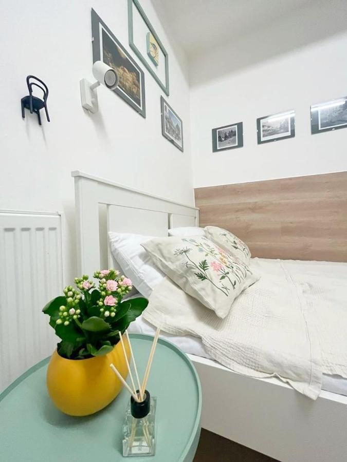 Republicii Small Căn hộ Cluj-Napoca