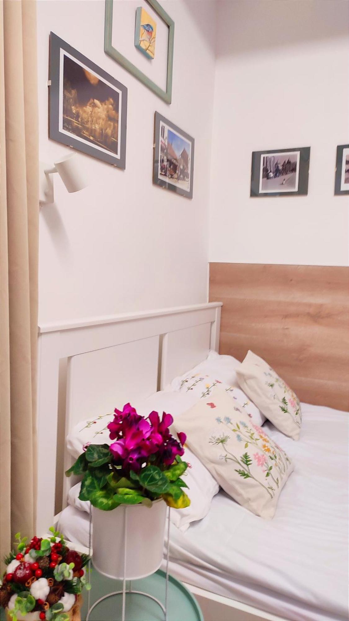 Apartament Republicii Small *
